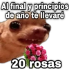 Al final y principios de año te llevaré geysio 20 rosas