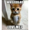 Whyyounoloveme 14