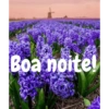 Boa noite Flores 9