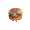 Uwu 29