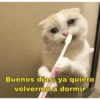texpoy Buenos días, ya quiero volverme a dormir