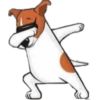 Dog salute 24