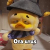 Upset Duck 6