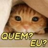 Memes/deboche 15