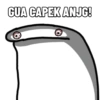 GUA CAPEK ANJG! O