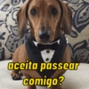 CACHORRO SALSICHA  8