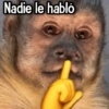 Changuitos Reacciones! 🐵🐒 15