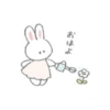 Soft 22
