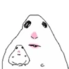 🐹 Hamster Tiktok 2📱 12