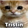 Tristin