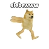 Kocheng&doge slebewww 17
