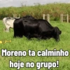 Jessyy Moreno ta calminho hoje no grupo!