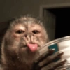 Lol 8