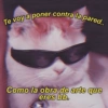 😎Shitpost Amor 4k❤️ 21