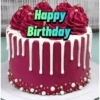 Happy
Birthday