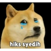 Kocheng&doge slebewww 12