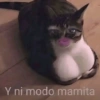 Y ni modo mamita