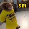 Macaquinhos reativos 🐒 7