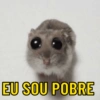 Top respostas pra vc usar 5
