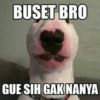 Iya deh deck 7