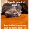 Itni jyada garmi ha ajkal < Aao tumhare pompom chat ke thnde krdu.