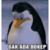 Pinguin 20