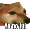 Yo no fui