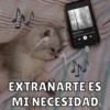 Dilo con Michis pt.6 🐱🤎 5