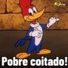 Jessy Pobre coitado!