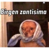 PERRITOS CURA DEPRESIÓN🐶💕😎 16