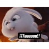 Porque aja 23
