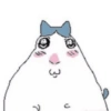 🐹 Hamster Tiktok 2📱 10