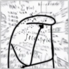 🌈Flork Mix 17🧦 17