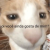 Coitadolândia 30