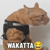 Meme bakekok cukurukuk 6