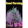 Good Morning 28