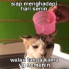 Stiker lucu  8