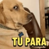 TU PARA