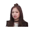 Blackpink funny 10