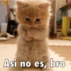 Asi no es, bro