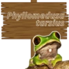 Animales de la Amazonia  V1 10
