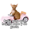 Súbete meme 16