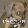TÁ NAS MÃOS DE
DEUS