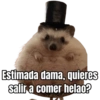 Memes para Caballeros 🧐🍷 15
