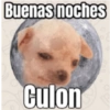 Buenos días culona 8