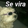 Os mais debochados 15