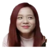 Blackpink funny 26