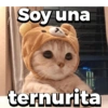 Soy una
ternurita