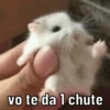 MEMES DIVERTIDOS 12