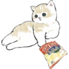Gatitos 13
